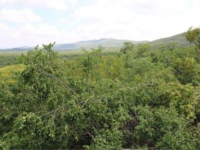 Thaba Moriri - South Africa - South facing vacant stand with spectacular mountain and springbuck fla - Photo 3