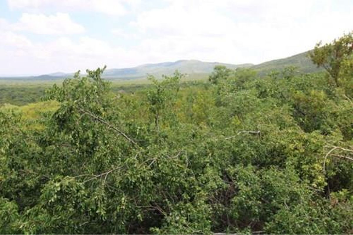 Thaba Moriri - South Africa - South facing vacant stand with spectacular mountain and springbuck fla - Photo 3
