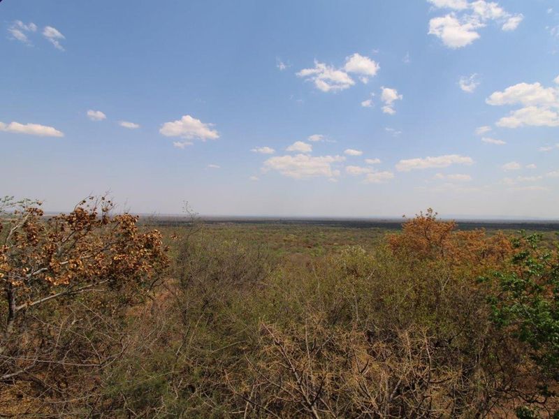 A scenic, elevated view overlooking a vast, natural landscape with native vegetation and a clear blue sky.