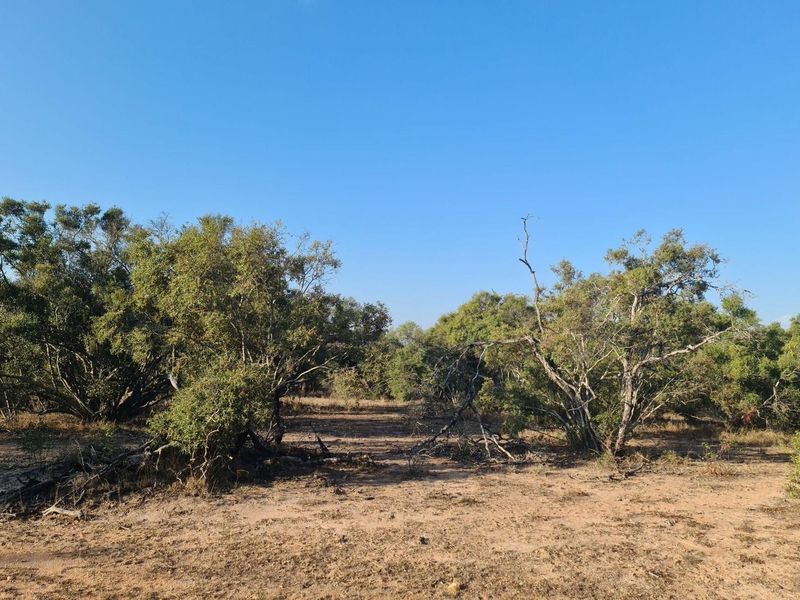 our Gateway to Untamed Beauty: Secure Your Piece of Moditlo Today - Photo 4