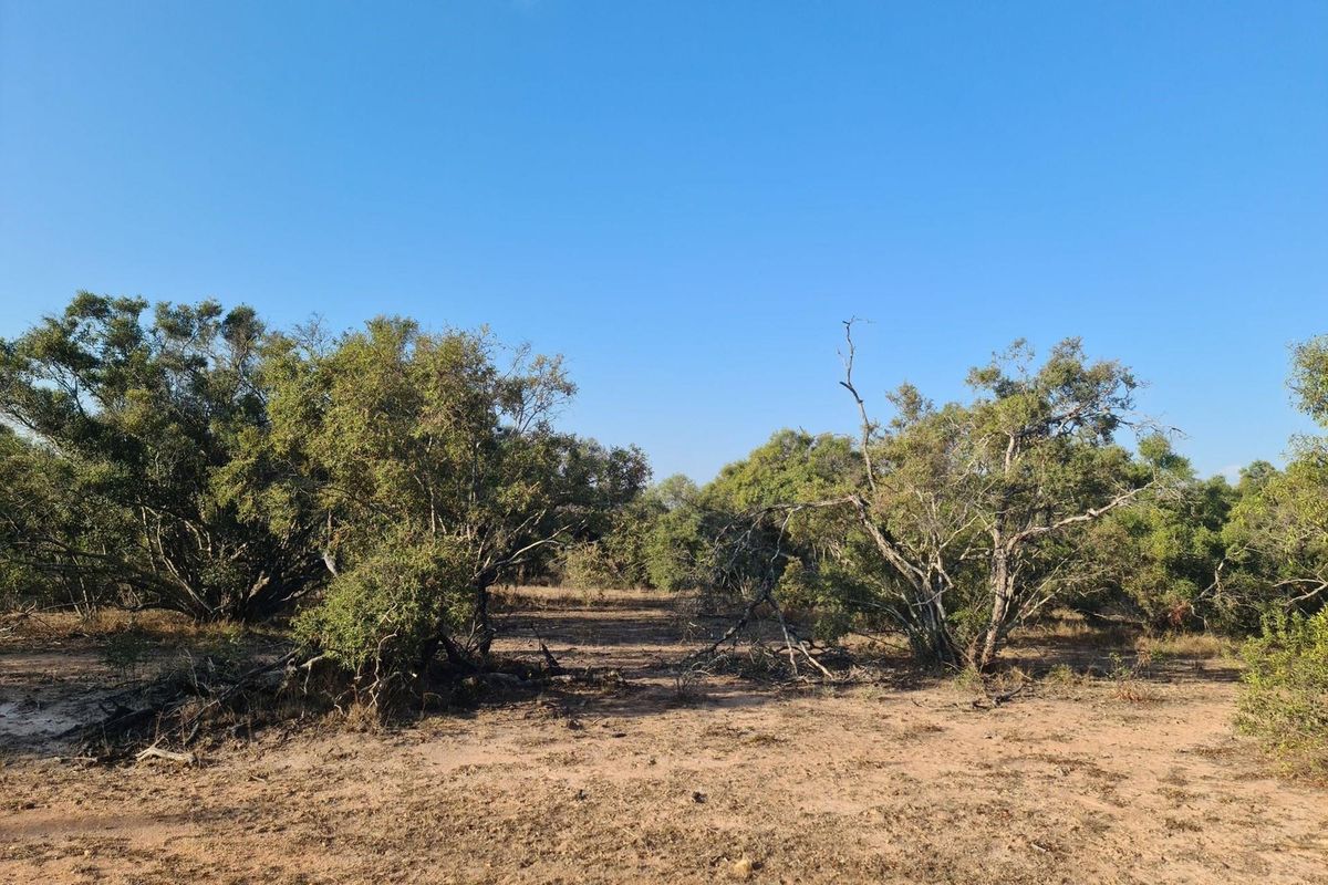 our Gateway to Untamed Beauty: Secure Your Piece of Moditlo Today - Photo 4