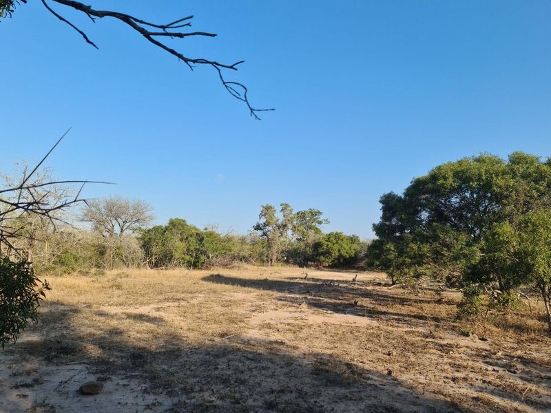 our Gateway to Untamed Beauty: Secure Your Piece of Moditlo Today - Photo 6