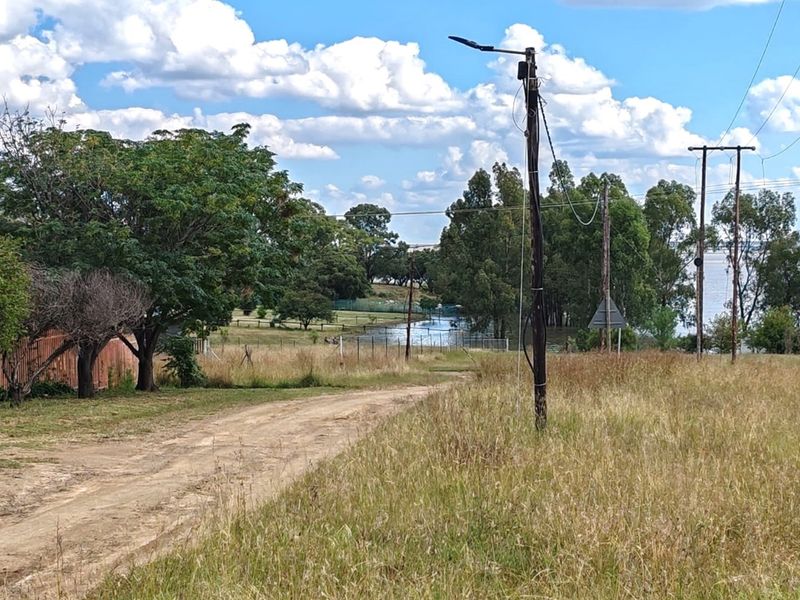ORANJEVILLE * FREE STATE * VACANT STAND * 2717sqm * 500m from DAM * R120 000.00 - Photo 6