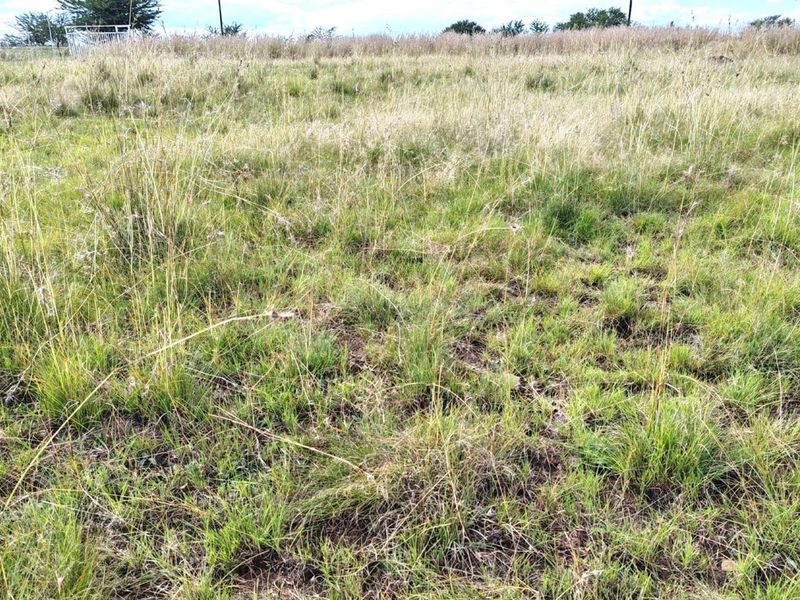 ORANJEVILLE * FREE STATE * VACANT STAND * 2717sqm * 500m from DAM * R120 000.00 - Photo 4