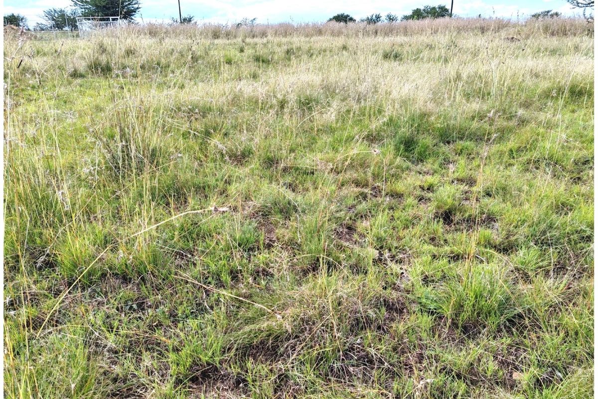 ORANJEVILLE * FREE STATE * VACANT STAND * 2717sqm * 500m from DAM * R120 000.00 - Photo 4
