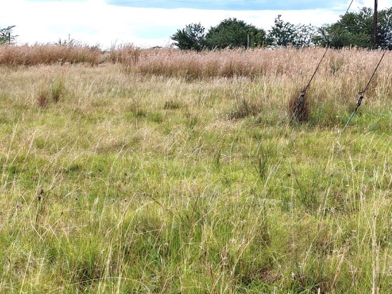 ORANJEVILLE * FREE STATE * VACANT STAND * 2717sqm * 500m from DAM * R120 000.00 - Photo 2