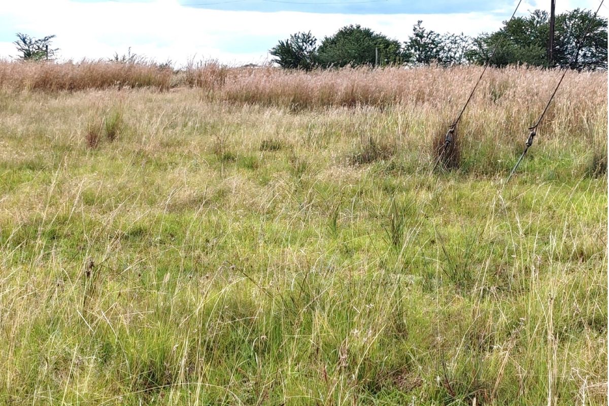 ORANJEVILLE * FREE STATE * VACANT STAND * 2717sqm * 500m from DAM * R120 000.00 - Photo 2