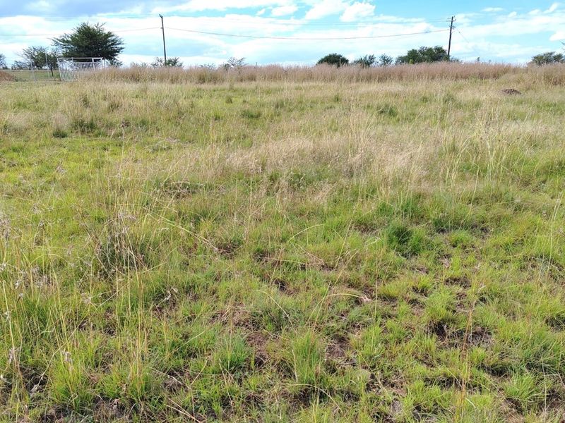 ORANJEVILLE * FREE STATE * VACANT STAND * 2717sqm * 500m from DAM * R120 000.00 - Photo 5