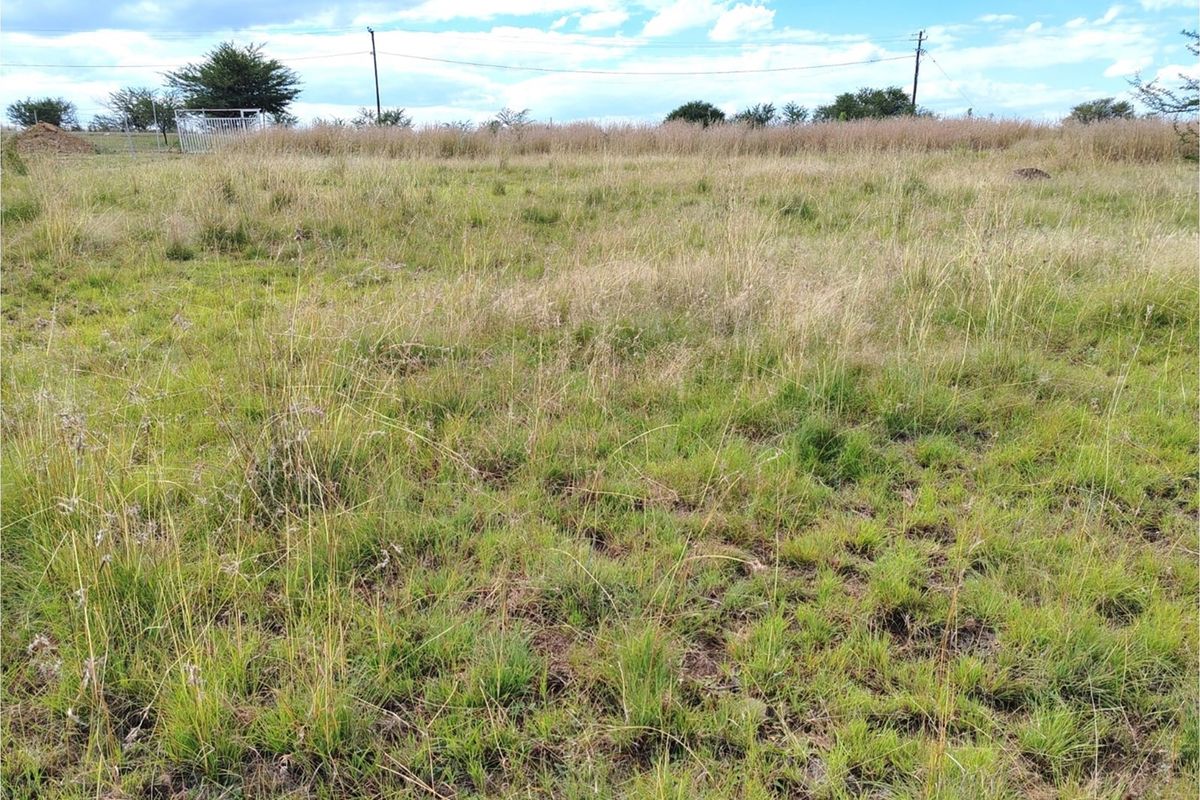 ORANJEVILLE * FREE STATE * VACANT STAND * 2717sqm * 500m from DAM * R120 000.00 - Photo 5