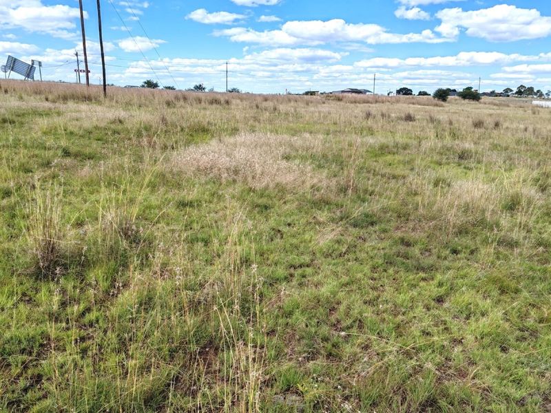 ORANJEVILLE * FREE STATE * VACANT STAND * 2717sqm * 500m from DAM * R120 000.00 - Photo 10