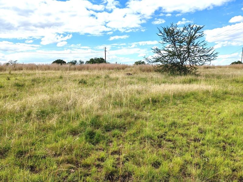 ORANJEVILLE * FREE STATE * VACANT STAND * 2717sqm * 500m from DAM * R120 000.00 - Photo 9