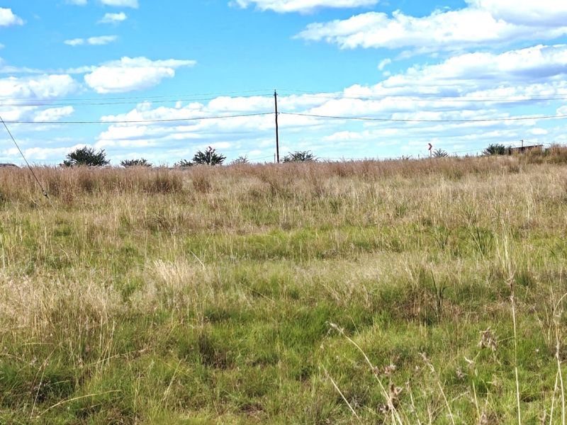 ORANJEVILLE * FREE STATE * VACANT STAND * 2717sqm * 500m from DAM * R120 000.00 - Photo 8