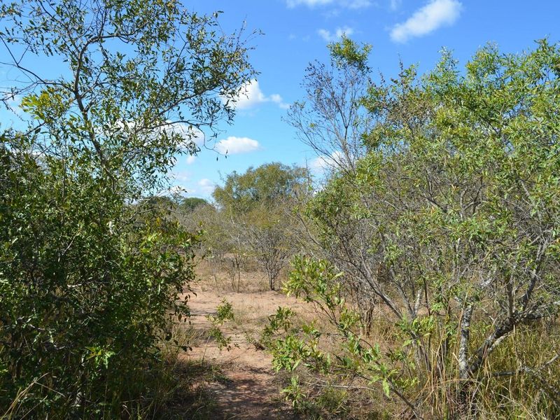 Nature's Masterpiece: Own Your Slice of African Paradise - Photo 3