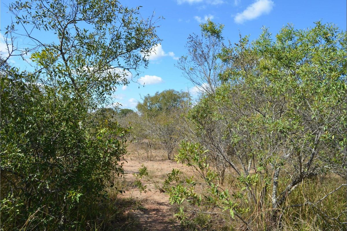 Nature's Masterpiece: Own Your Slice of African Paradise - Photo 3