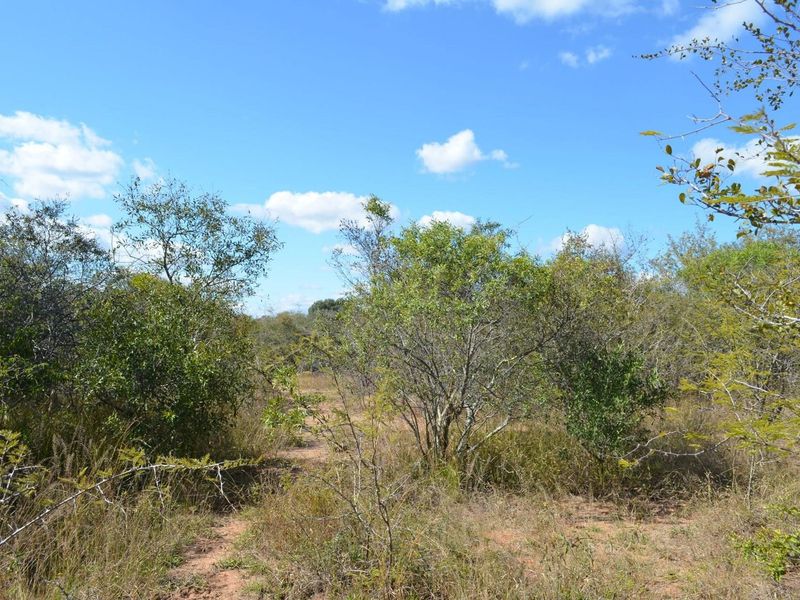 Nature's Masterpiece: Own Your Slice of African Paradise - Photo 4