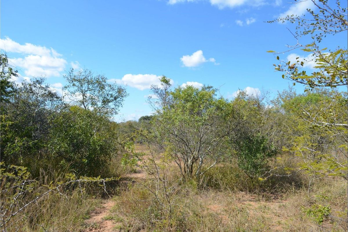 Nature's Masterpiece: Own Your Slice of African Paradise - Photo 4