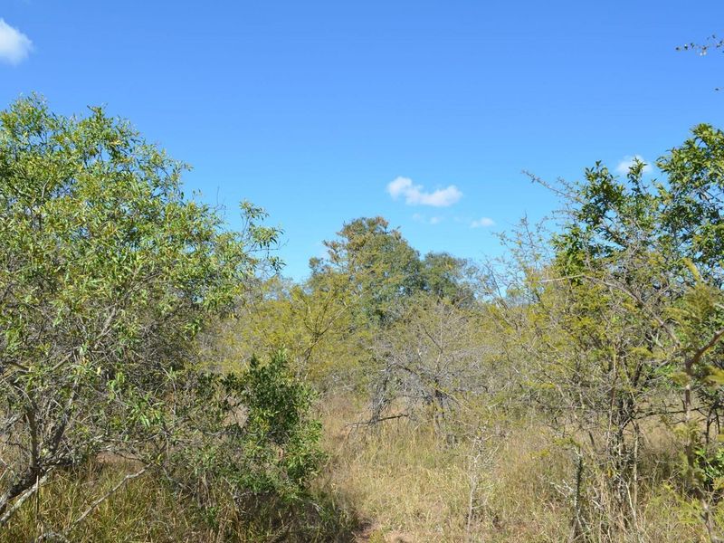 Nature's Masterpiece: Own Your Slice of African Paradise - Photo 6