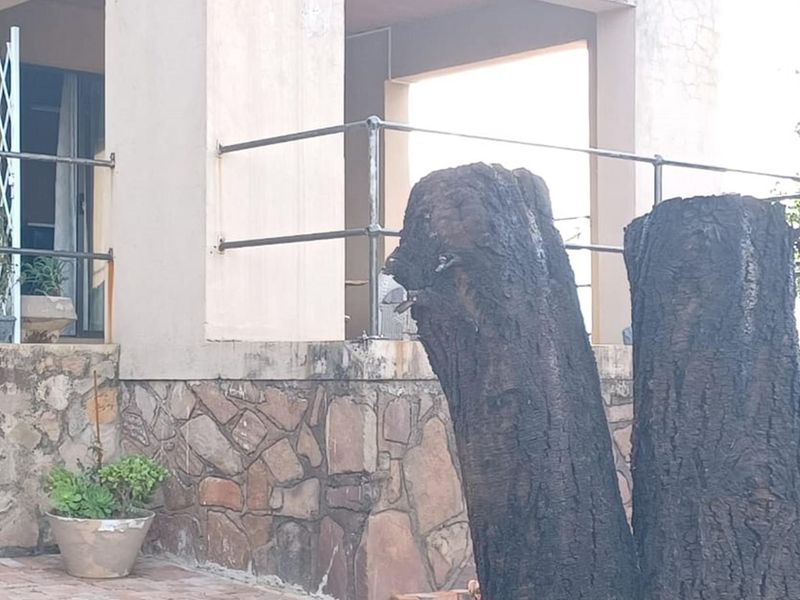 SPECTACULAR HOME FOR SALE - UTOPIA NATURE ESTATE - Photo 5