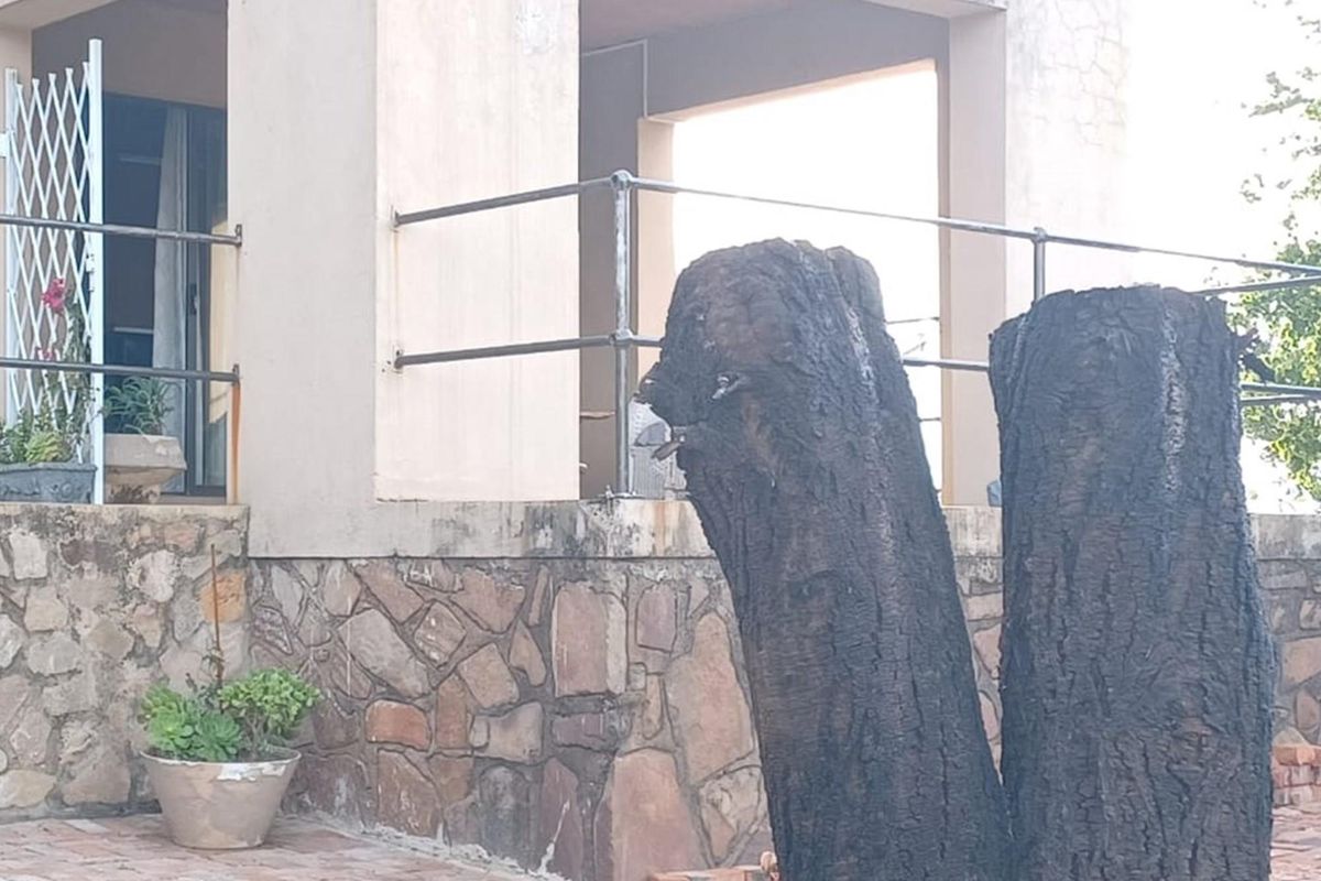 SPECTACULAR HOME FOR SALE - UTOPIA NATURE ESTATE - Photo 5