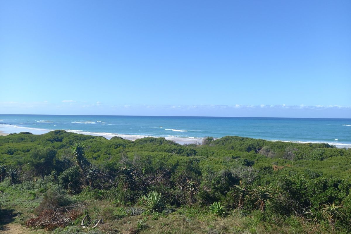 Build Your Dream Home in Paradise Beach in the popular Jeffreys Bay - Photo 4