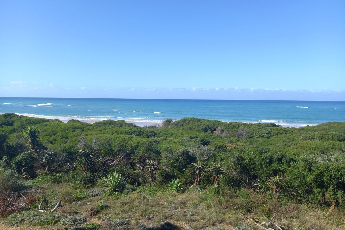 Build Your Dream Home in Paradise Beach in the popular Jeffreys Bay - Photo 3