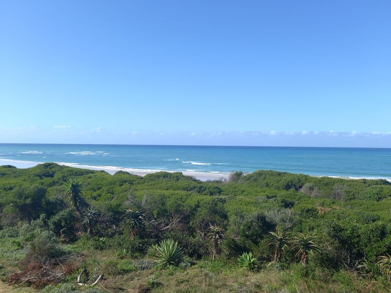 Exclusive Prestigious Elevated Ocean View Stand | 1,151m2 | Paradise Beach - Photo 9