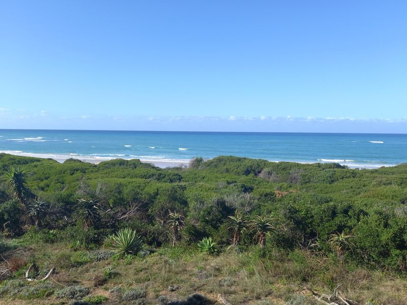 Exclusive Prestigious Elevated Ocean View Stand | 1,151m2 | Paradise Beach - Photo 10
