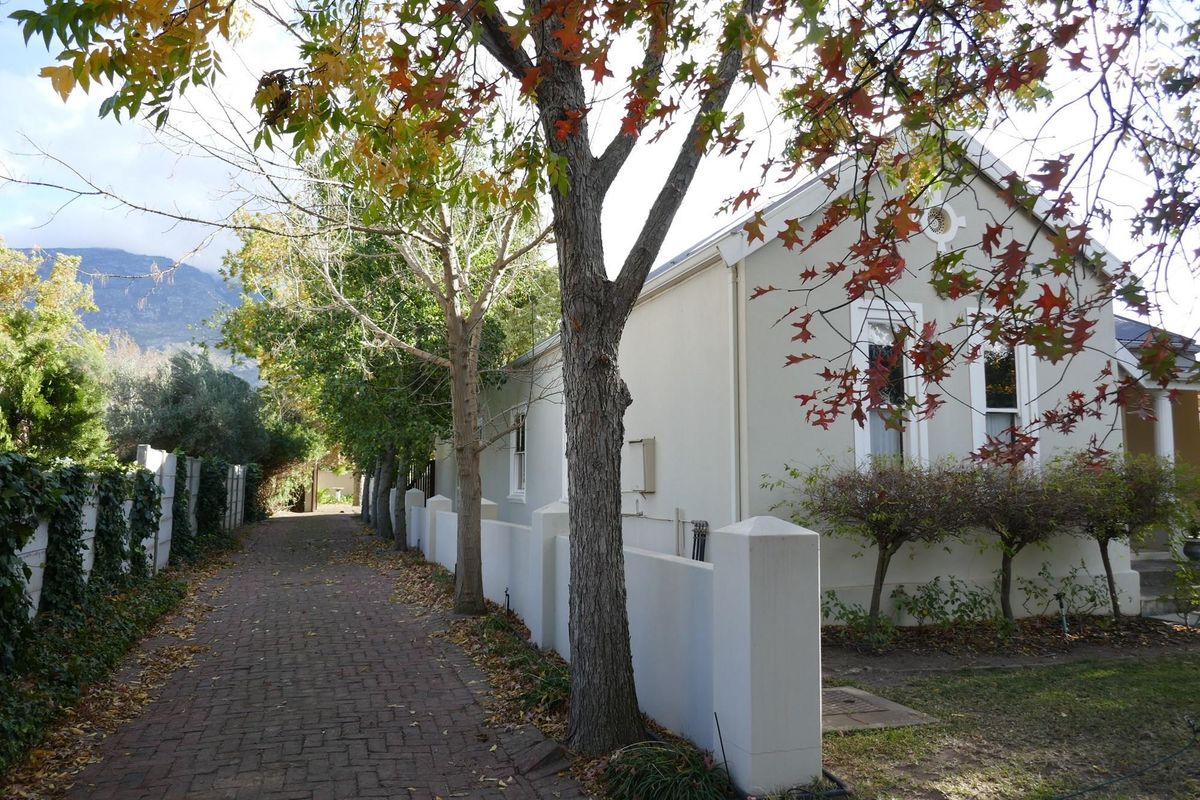 A view of the side exterior of the house featuring a paved walkway, boundary wall, and mature trees.