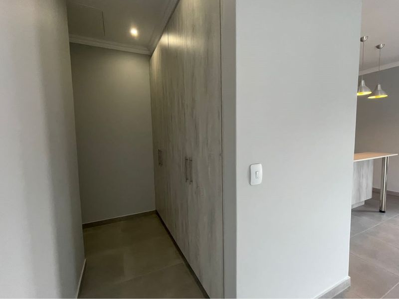 A clean hallway featuring built-in floor-to-ceiling cabinetry with a modern wood-grain finish, leading into an open-plan living area.