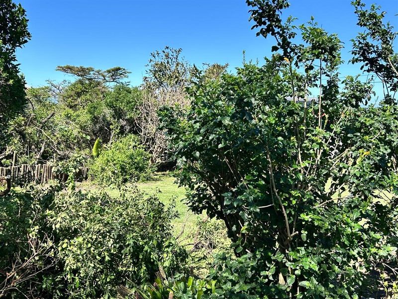 Prime Vacant Erf for Sale in Sunrise-on-Sea - Cleared, fenced and ready for your dream home!!!! - Photo 7