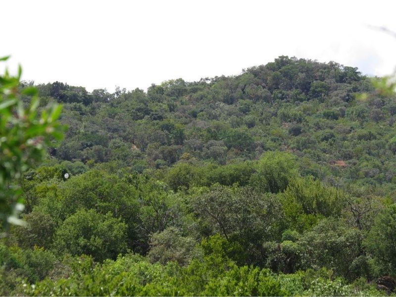Zwartkloof Game Reserve - DAM View -  Full Title - Interest Free Loans for 4 years - Photo 4