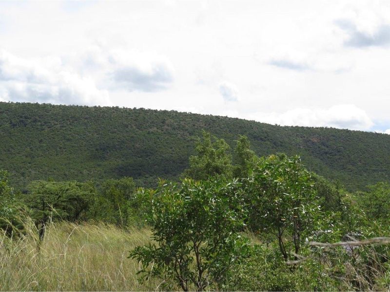 Zwartkloof Game Reserve - DAM View -  Full Title - Interest Free Loans for 4 years - Photo 7