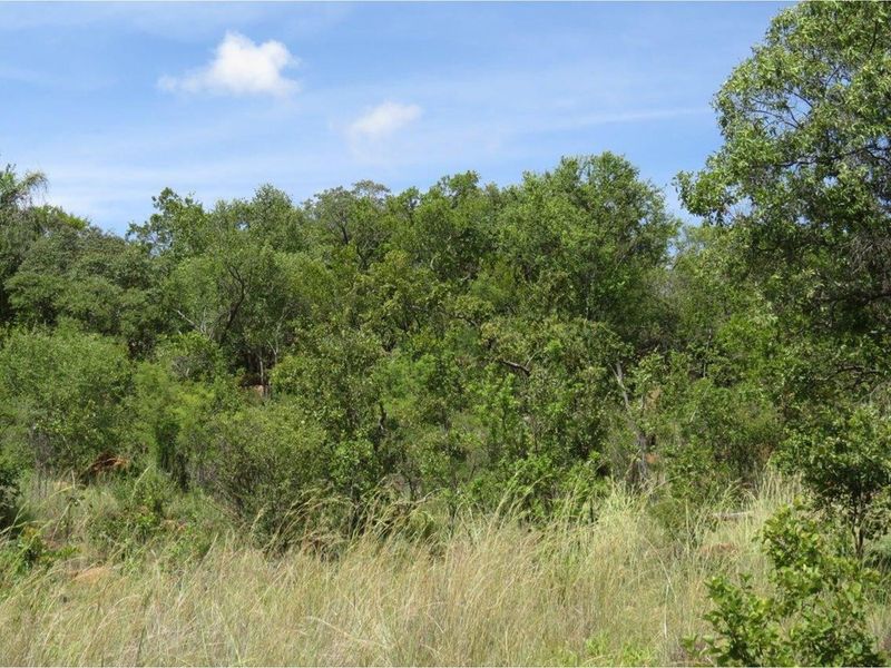 Zwartkloof Game Reserve - DAM View -  Full Title - Interest Free Loans for 4 years - Photo 5