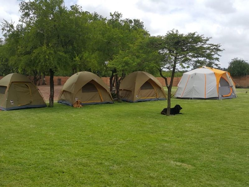 A wonderful OPPORTUNITY - Farm / Live / Entertain at Heatonville - Photo 9