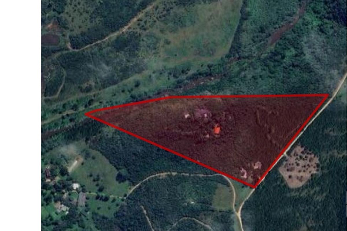 IDYLIC COUNTRY RETREAT WITH MULTIPLE HOMES, WORKSHOP AND ENDLESS POTENTIAL - Photo 4