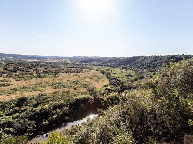 IDYLIC COUNTRY RETREAT WITH MULTIPLE HOMES, WORKSHOP AND ENDLESS POTENTIAL - Photo 3