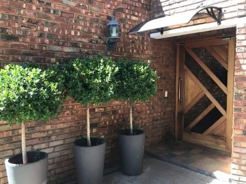 Entertainers dream! - Photo 4