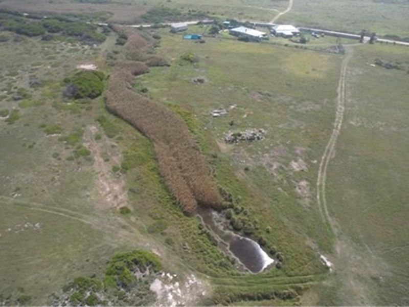 Exceptional  Coastal farm for sale Gouritsmond - Photo 8