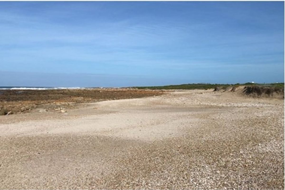 Exceptional  Coastal farm for sale Gouritsmond - Photo 3