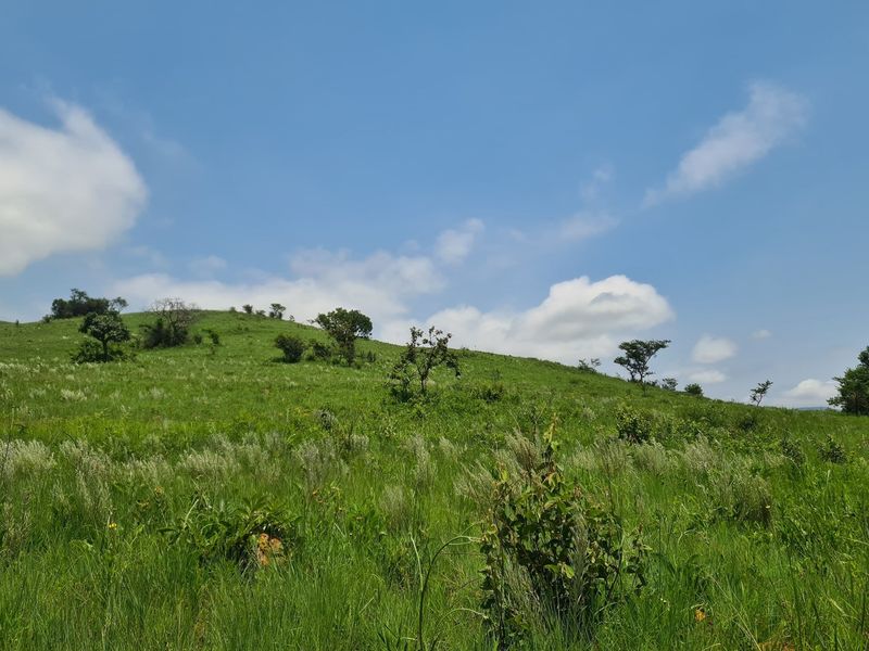 Prime Grazing Farm of 1845Ha with Exceptional Resources - Photo 10