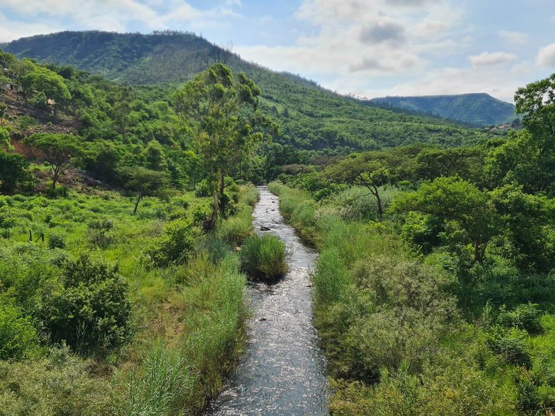 Prime Grazing Farm of 1845Ha with Exceptional Resources - Photo 9