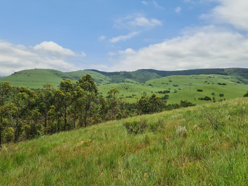 Prime Grazing Farm of 1845Ha with Exceptional Resources - Photo 8