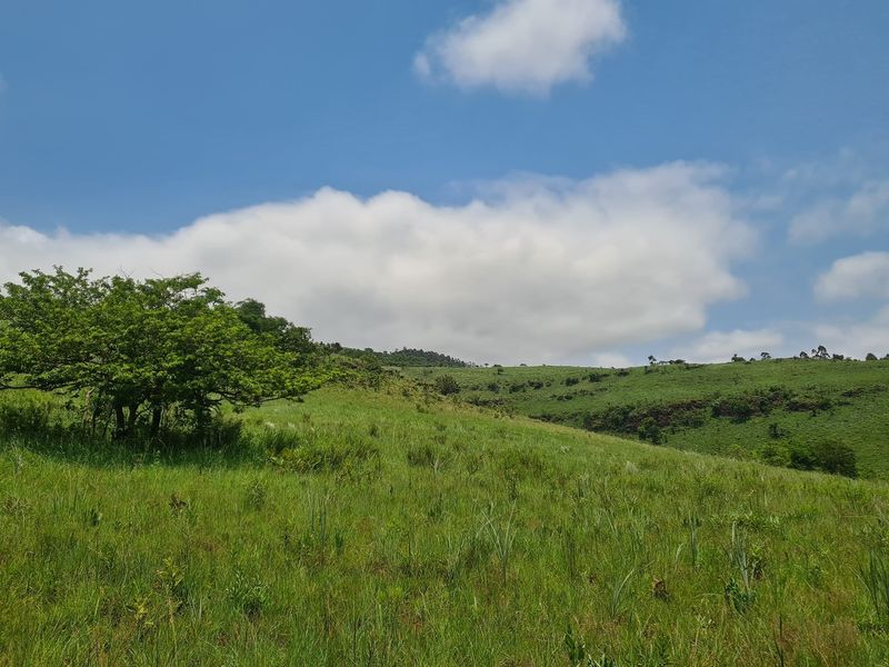 Prime Grazing Farm of 1845Ha with Exceptional Resources - Photo 4