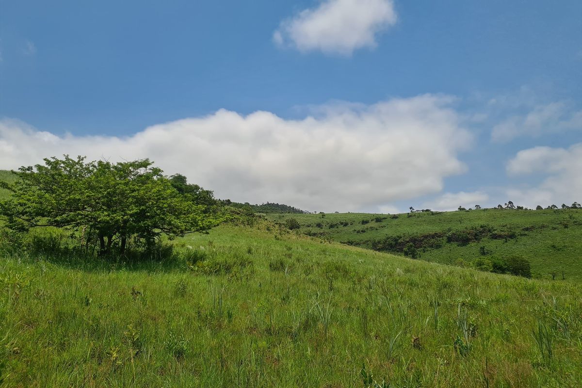 Prime Grazing Farm of 1845Ha with Exceptional Resources - Photo 4