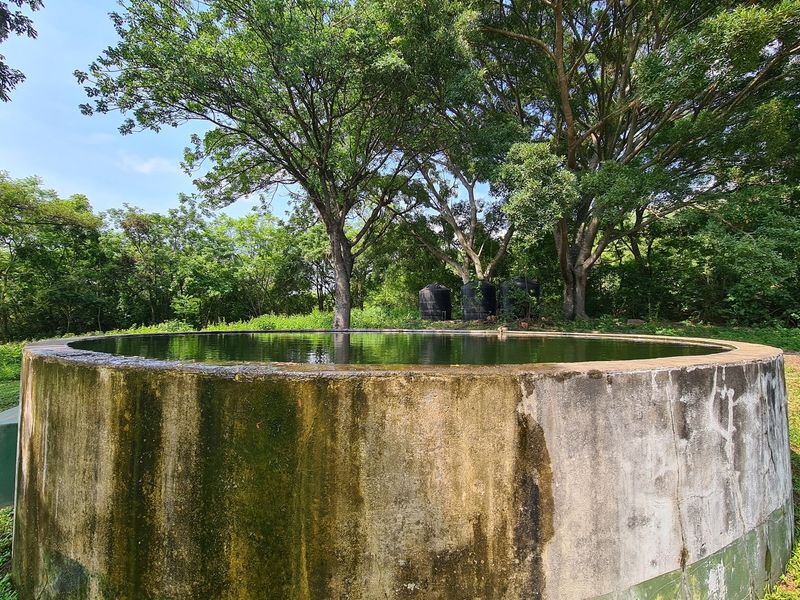 Prime Grazing Farm of 1845Ha with Exceptional Resources - Photo 7