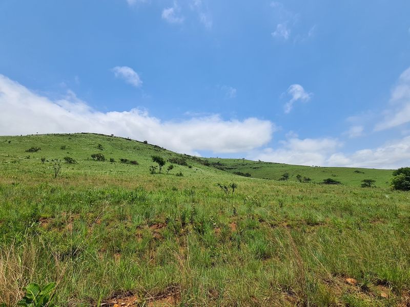 Prime Grazing Farm of 1845Ha with Exceptional Resources - Photo 3