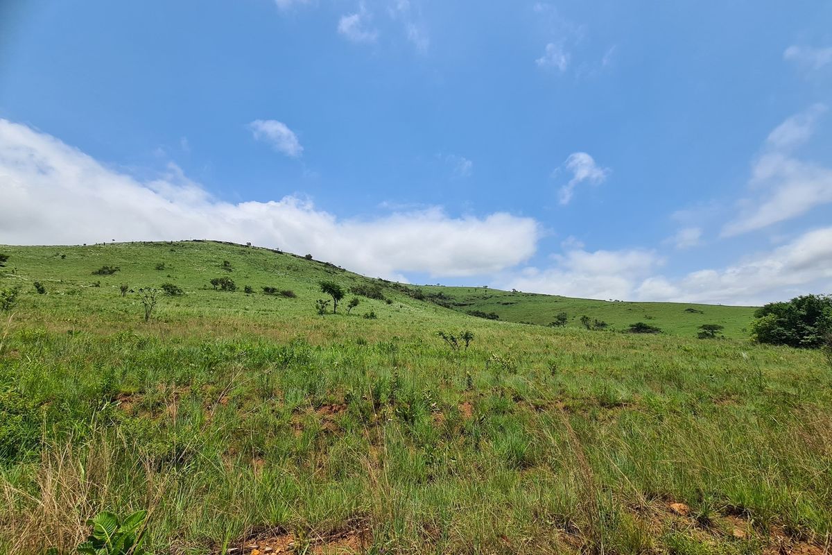 Prime Grazing Farm of 1845Ha with Exceptional Resources - Photo 3