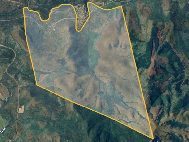 Prime Grazing Farm of 1845Ha with Exceptional Resources - Photo 2