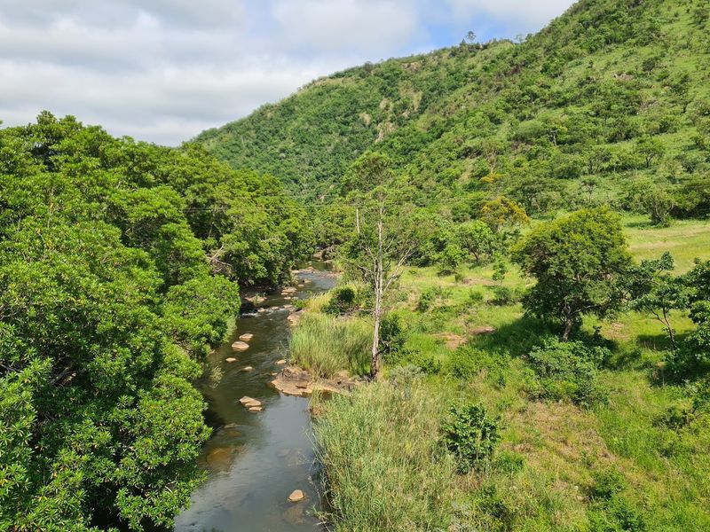 Prime Grazing Farm of 1845Ha with Exceptional Resources - Photo 5