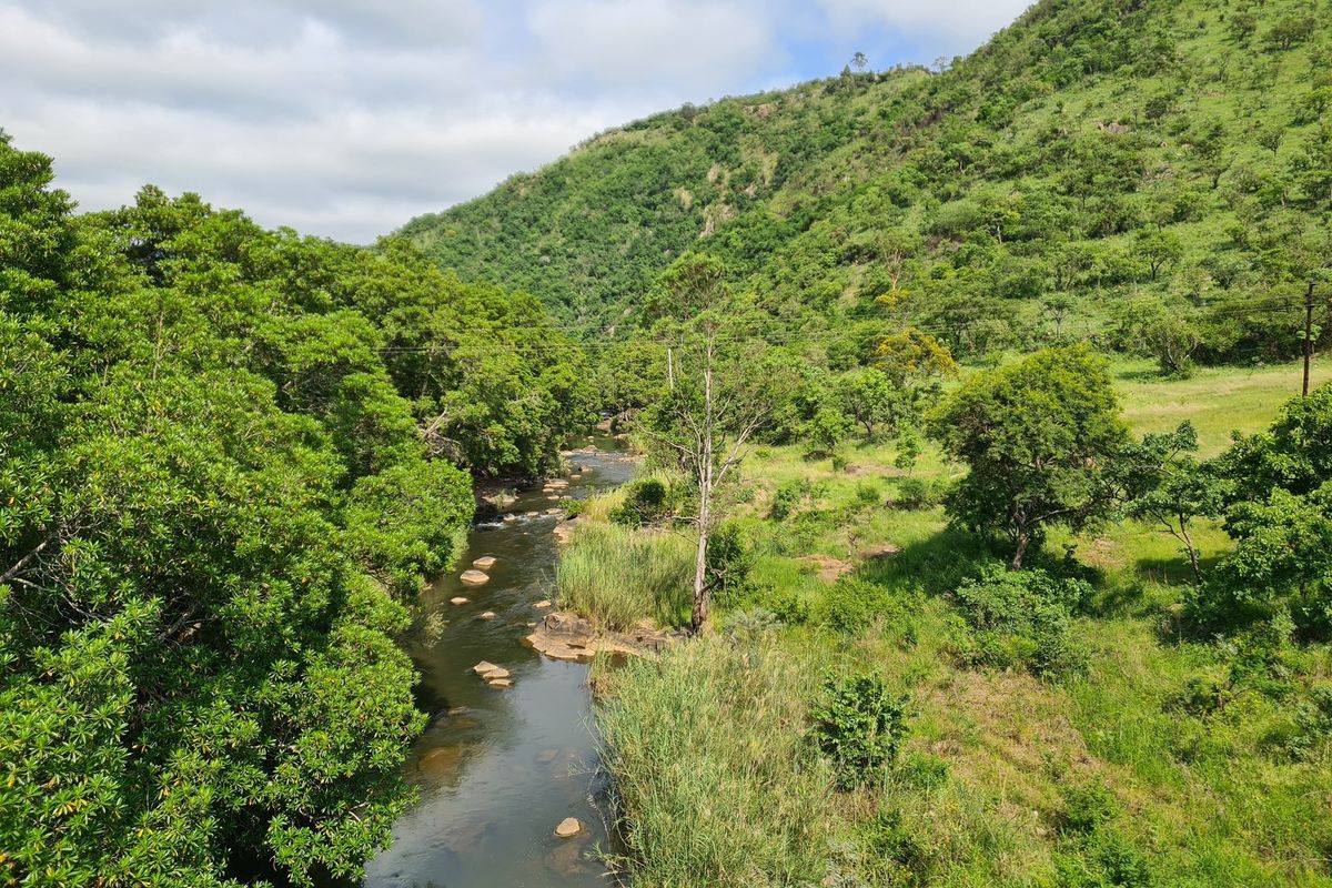 Prime Grazing Farm of 1845Ha with Exceptional Resources - Photo 5